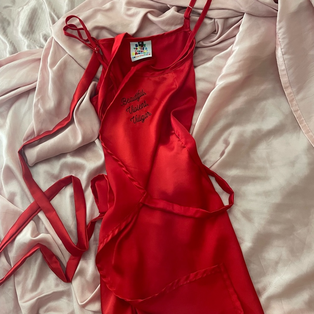 omighty beautiful violent vulgar dress